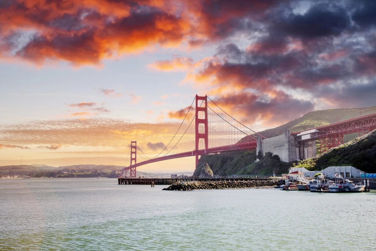 Due diligence roadmap, employment law basics, YC’s Michael Seibel • TechCrunch
